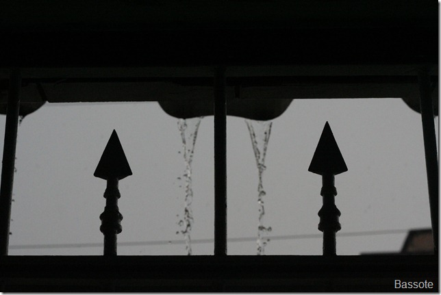 Bassote Jan-2011-17 016