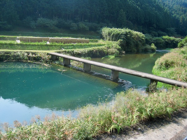 高樋沈下橋