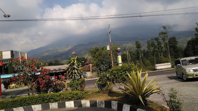 Kebun Teh Wonosobo Jawa Tengah