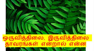 ஒருவித்திலை, இருவித்திலை தாவரங்கள். oru vithilai iru vithilai thavarngal vilakkam, velan thagaval, vivasaya murai, iyarkkai