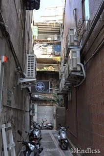 DSC_2207