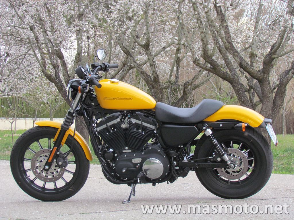 2010 sportster 883 iron Escrito por Iván Solera en Custom, Harley-Davidson