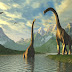آثار ديناصورات نادرة تكتشف لأول مرة في أغادير المغربية 