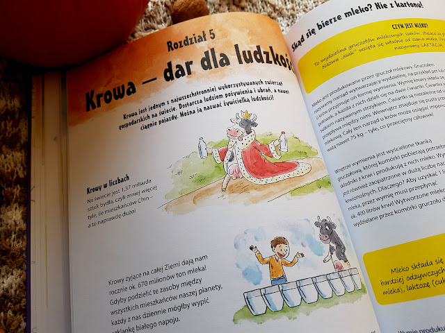 Wszystko o krowach - Wszystko o psach - Wydawnictwo Dragon - Dragon dla dzieci - książki dla dzieci - książeczki dla dzieci - blog rodzicielski - blog parentingowy