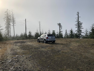 ford edge crossover sub trail driving