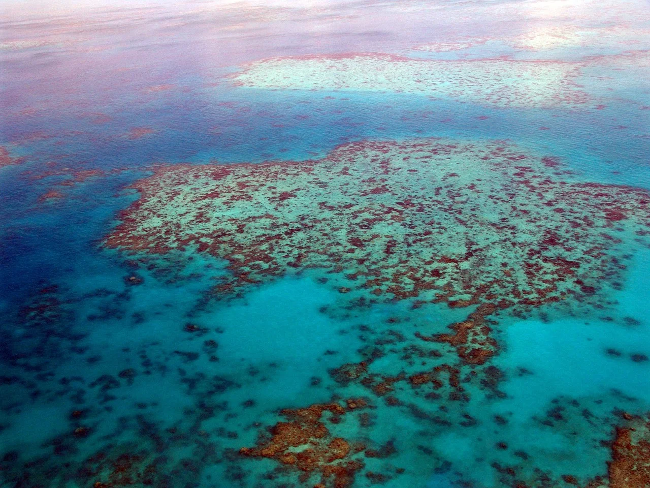 Discover why the Great Barrier Reef is crucial to the world. Explore its biodiversity, climate regulation, and global significance.