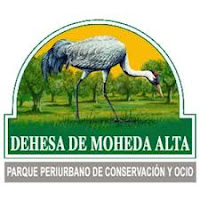 http://turismoextremadura.com/viajar/turismo/es/explora/Centro-de-Interpretacion-Dehesa-de-Moheda-Alta-00001_1924203554/