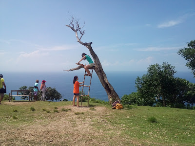 Spot kunjungan Paket Tour Nusa Penida Pohon Cinta di Kelingking Clift