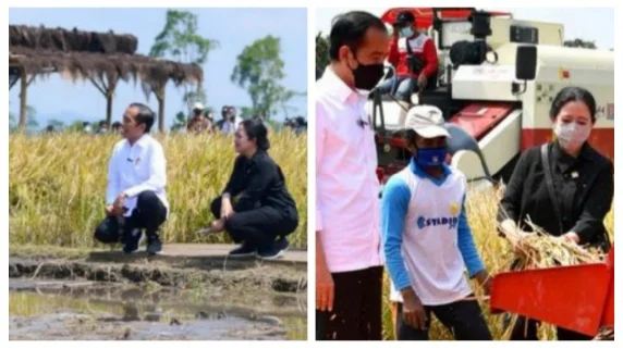 Jawab Relawan Jokowi, Alex PDIP Sebut Pencapaian Puan Luar Biasa, Bukan Kaleng-Kaleng, Ini Faktanya.