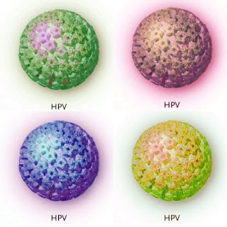 HPV