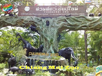 Chiang Mai Zoo, Thailand