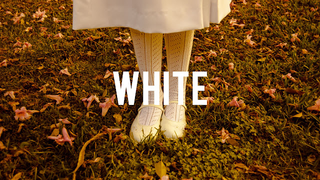 The color white is purity in its truest form.