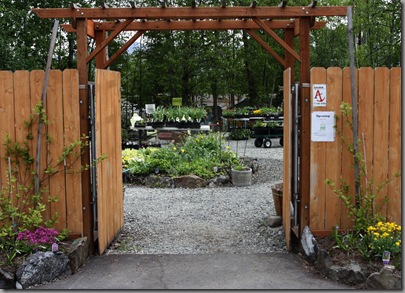 inthegardennursery 046