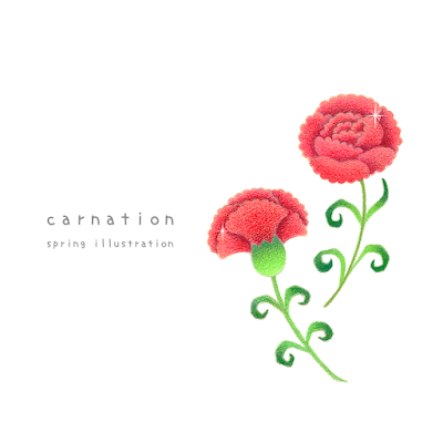 【カーネーション】春の花のおしゃれでシンプルかわいいイラスト