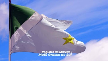 Garanta o Sucesso do Seu Negócio: Registre Sua Marca no INPI com o Escritório de Registro de Marcas Mato Grosso do Sul