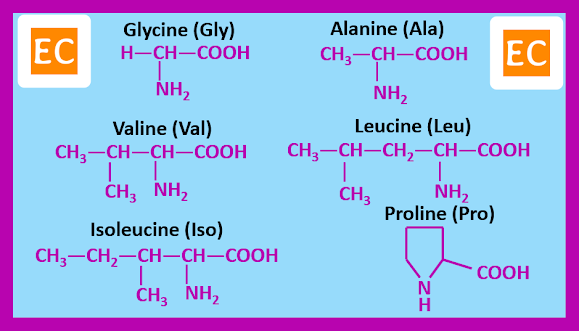 Amino acids with side chain containing H or aliphatic hydrocarbon.