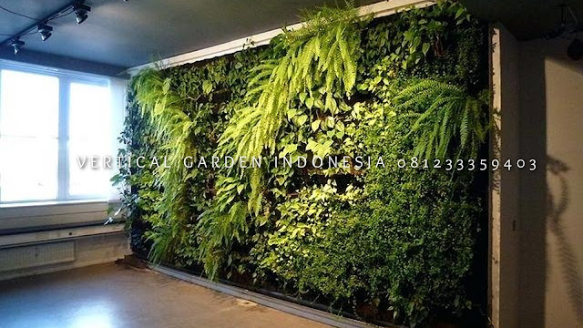 VERTICAL GARDEN INDONESIA SPESIALIS JASA PEMBUATAN VERTICAL GARDEN DI SALATIGA JAWA TENGAH DAN DI SELURUH WILAYAH JAWA TENGAH DENGAN TENAGA YANG PROFESIONAL DAN DAPAT DI PERCAYA YANG SELALU MENGUTAMAKAN SEBUAH MUTU DAN KUALITAS PEMASANGAN VERTICAL GARDEN/TAMAN DINDING, JASA TUKANG TAMAN VERTICAL SALATIGA JAWA TENGAH, JASA VERTICAL GARDEN SALATIGA JAWA TENGAH,