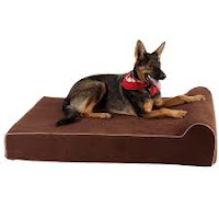 Bully Beds provides water & chew proof orthopaedic dog beds at great prices. Made with memory foam & high-end mattresses. Easy to clean & wash. Order now!
