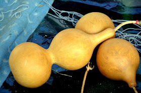 Bottle gourds - Lagenaria vulgaris