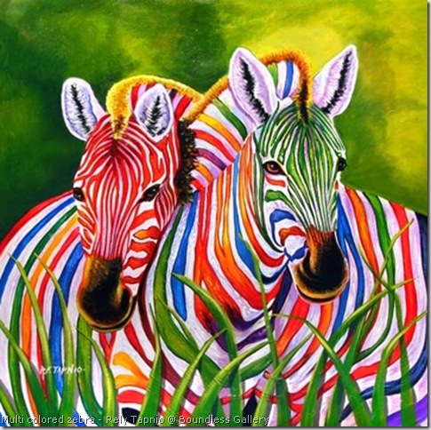 cool pics of zebras