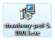 Strawberry Perl installer icon