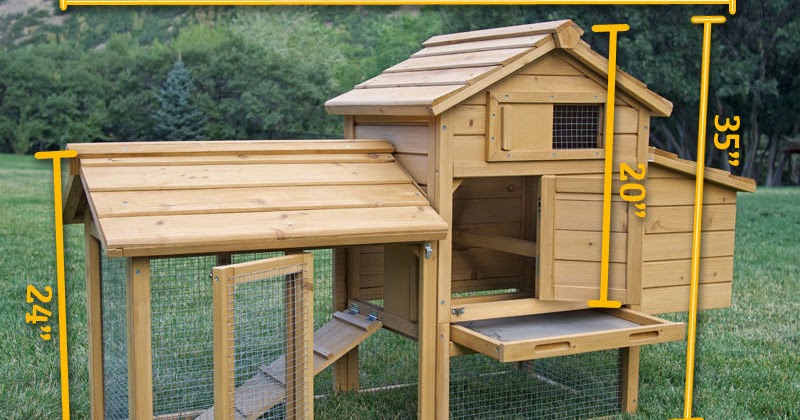 How To Build A Chicken Coop: How To Build A Chicken Coop 