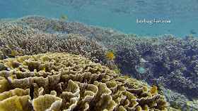 lokasi gili layar lombok