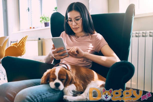 Ide Hadiah Unik Untuk Pecinta Anjing