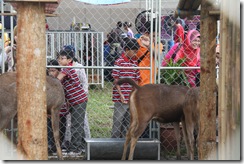 MAHA 2010 022