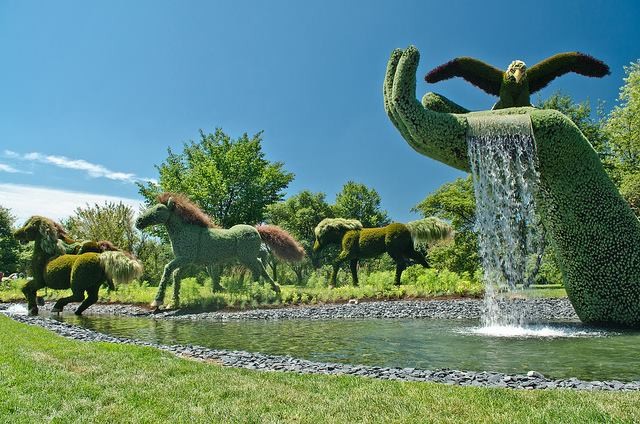 Gallery images of the Botanical Garden in Canada 