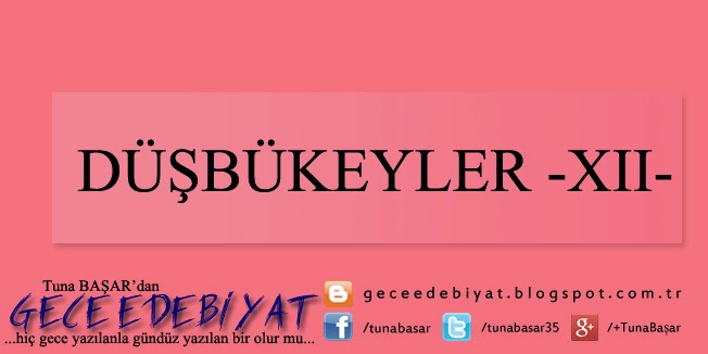 Düşbükeyler -XII-