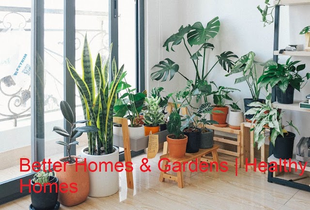 Better Homes & Gardens | Healthy Homes With Health Care 