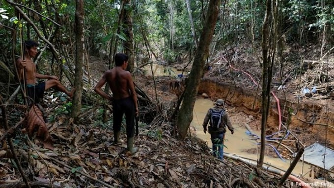 Governo Federal autoriza envio da Força Nacional para reserva Yanomami