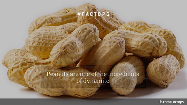 #Factops : "Peanuts are one of the ingredients of dynamite"