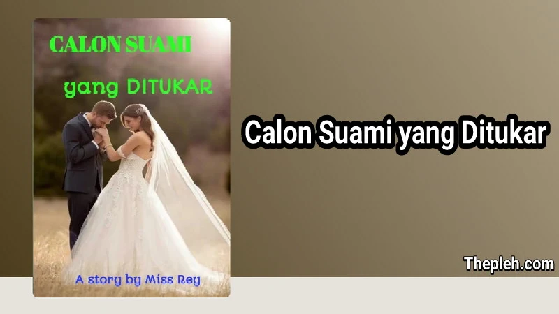 Novel Calon Suami yang Ditukar Gratis