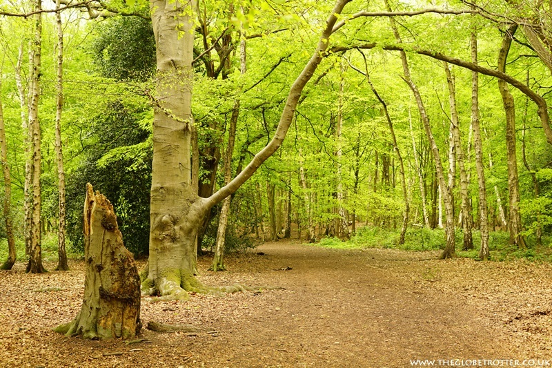 Lee Valley Regional Park - Country / Royal Park in Enfield, Epping Forest -  Visit Epping Forest