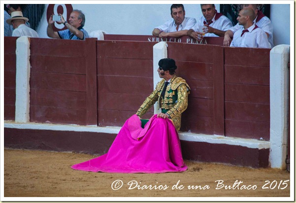 Toros Feria 2015-9840