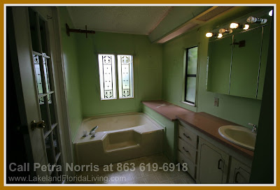 Take pleasure in a relaxing bath after a hard day’s work in the impeccable bathroom of this home for sale in Kathleen FL.