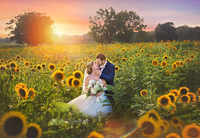 bride and groom in sunflower field