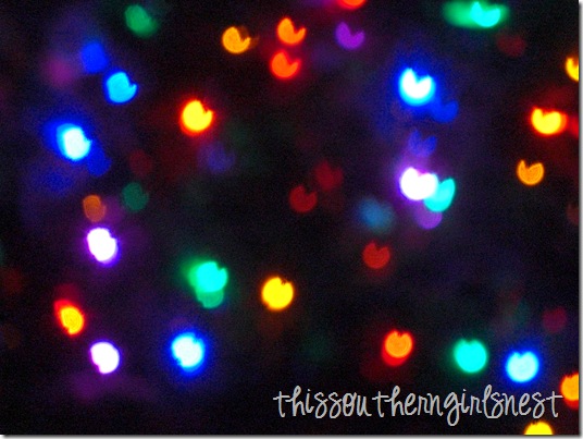 november 2011 051