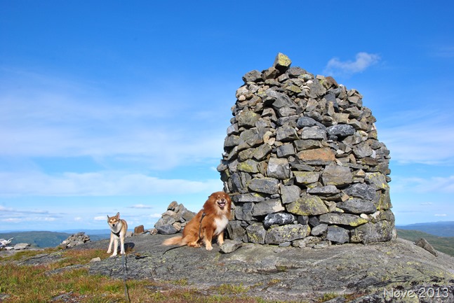 Nystølvarden, Gol. 1289 moh
