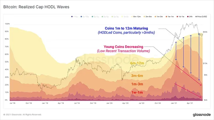 График Реализованной Капитализации волн HODL