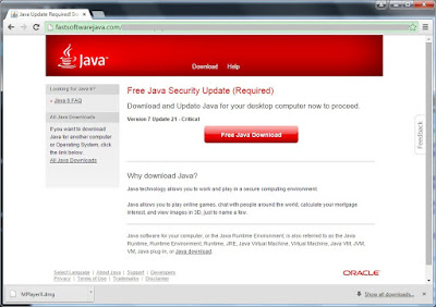 fastsoftwarejava.com screenshot