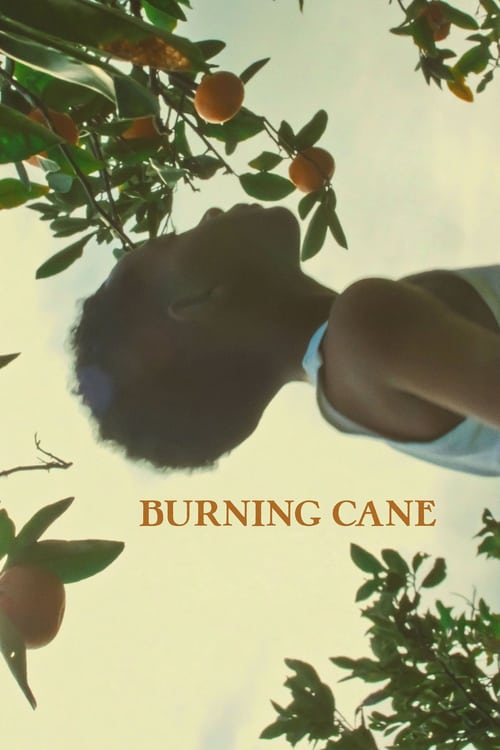 Regarder Burning Cane 2019 Film Complet En Francais