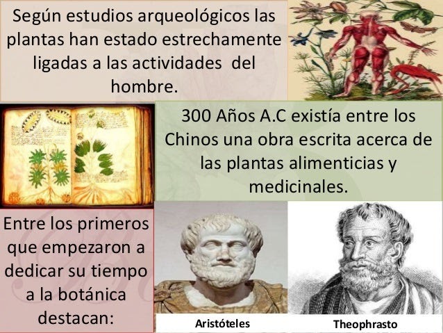 ᐈ Historia de la Botánica ?