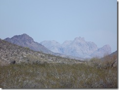 DSCF1079