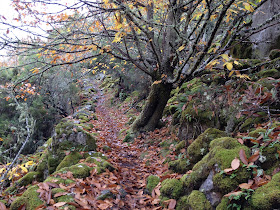 By E.V.Pita / Canyons of River Sil / Fall 2012 / Cañones del río Sil