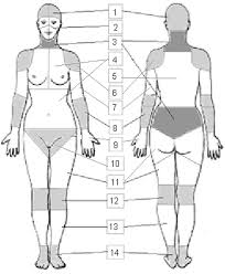 Woman body part image | Girl body parts | Girl photo full body