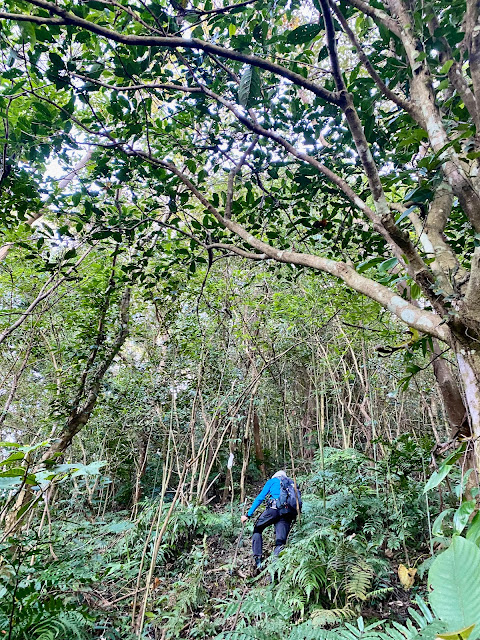 陡上往光城山（高遶山）