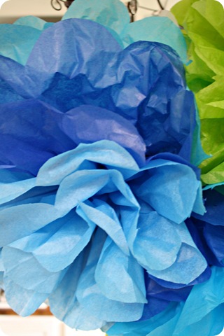 ombre tissue poms